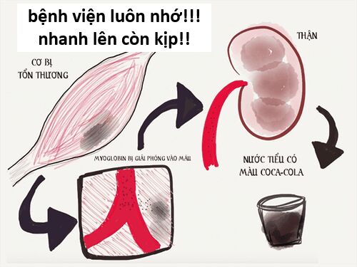 Hổ Đến Chơi Nhà (Puchimasu Miếu) Chương 142 Ảnh 81