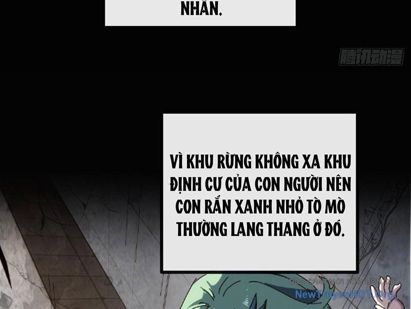 Ta Dựa Vào Tu Tiên Xưng Bá Mạt Thế Chương 11 Ảnh 65