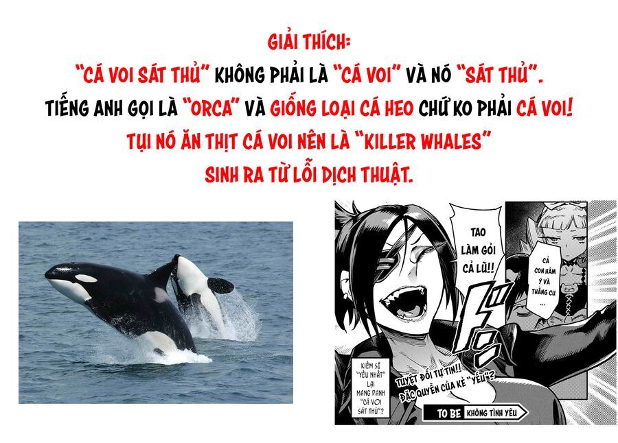 Đấu Trường Chuyển Sinh Chương 27 Ảnh 39