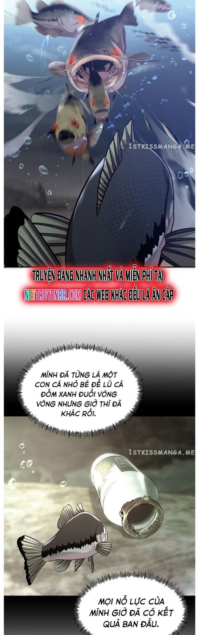 Hoá Thân Thành Cá Chương 40 Ảnh 15