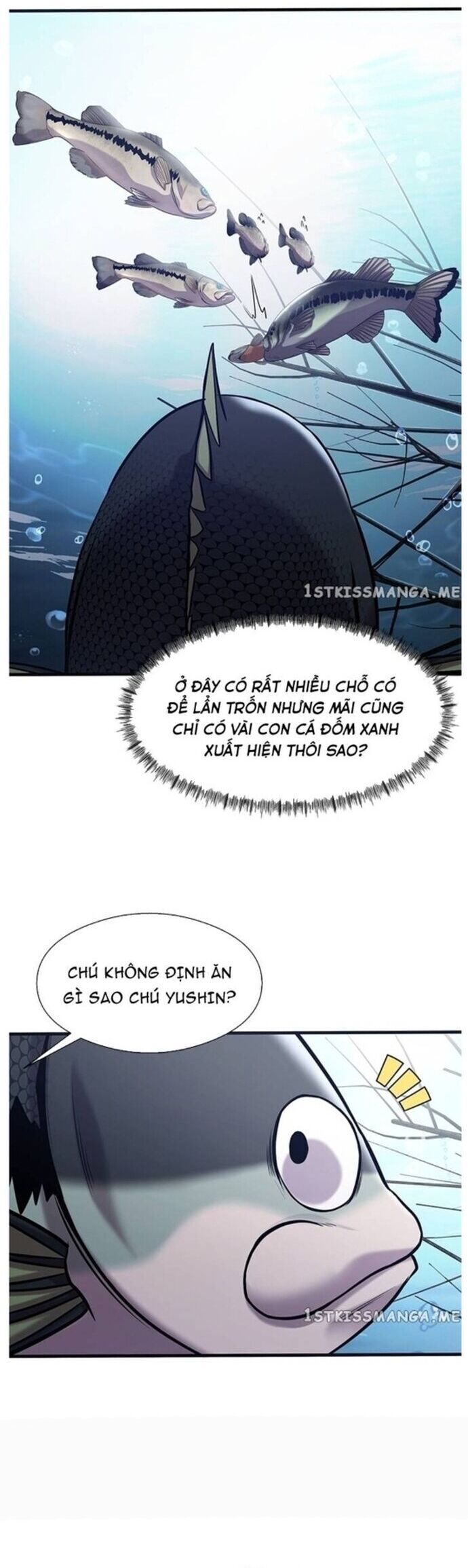 Hoá Thân Thành Cá Chương 40 Ảnh 24