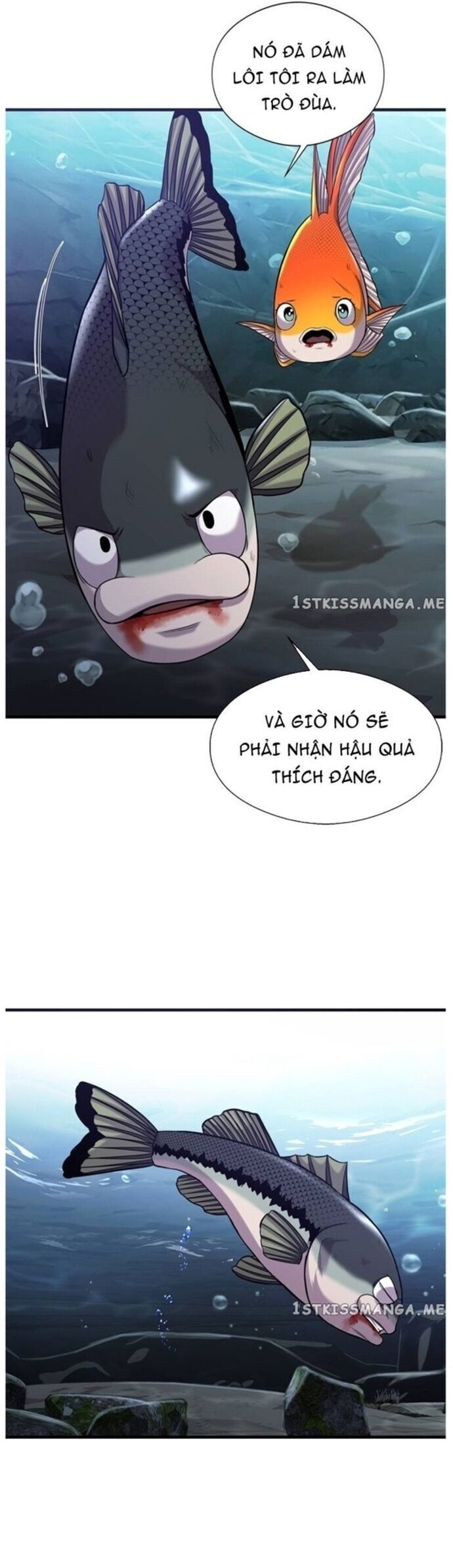 Hoá Thân Thành Cá Chương 44 Ảnh 43