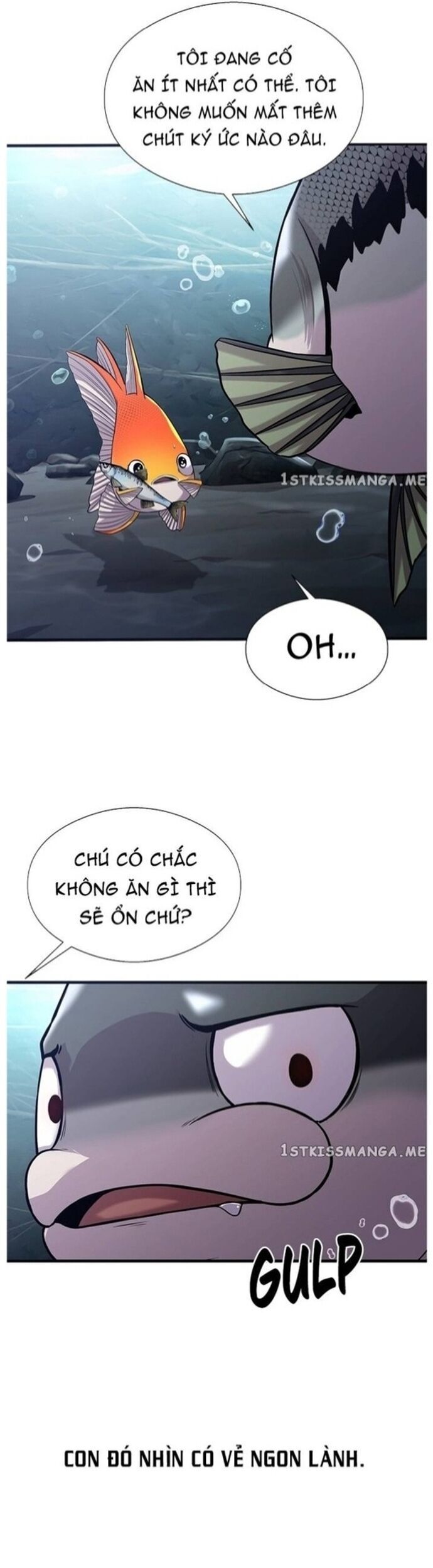 Hoá Thân Thành Cá Chương 40 Ảnh 25
