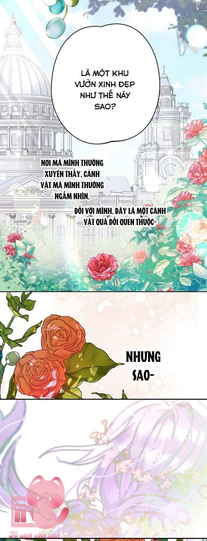 Tiền Là Tất Cả Chồng Là Phù Du Chương 102 Ảnh 57