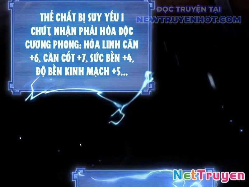 Các Nữ Sư Tôn Đều Muốn Chiếm Hữu Ta Chương 11 Ảnh 17
