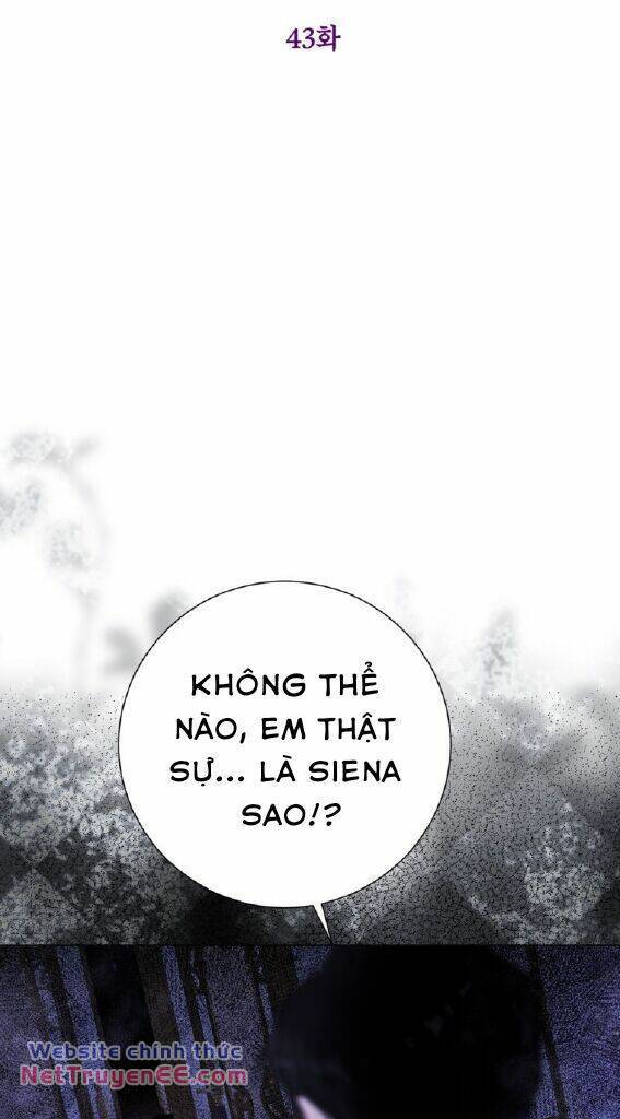 Ở Một Thế Giới Không Có Em Gái Mà Ai Cũng Yêu Chương 43 Ảnh 10