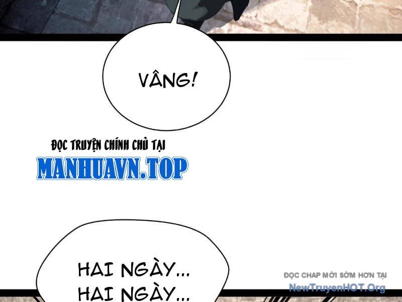 Chàng Rể Mạnh Nhất Lịch Sử Chương 307 Ảnh 64