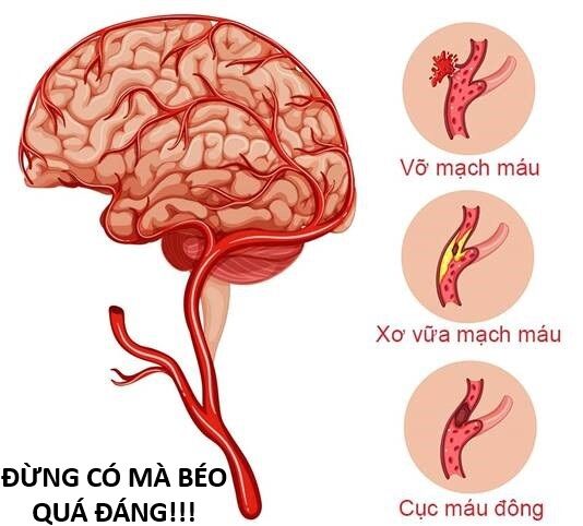 Hổ Đến Chơi Nhà (Puchimasu Miếu) Chương 144 Ảnh 77