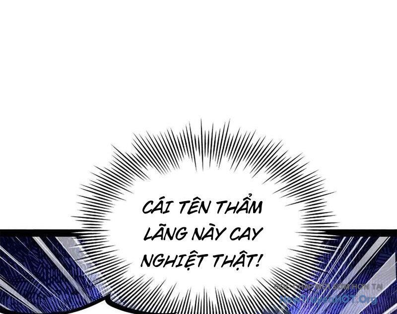 Chàng Rể Mạnh Nhất Lịch Sử Chương 308 Ảnh 36