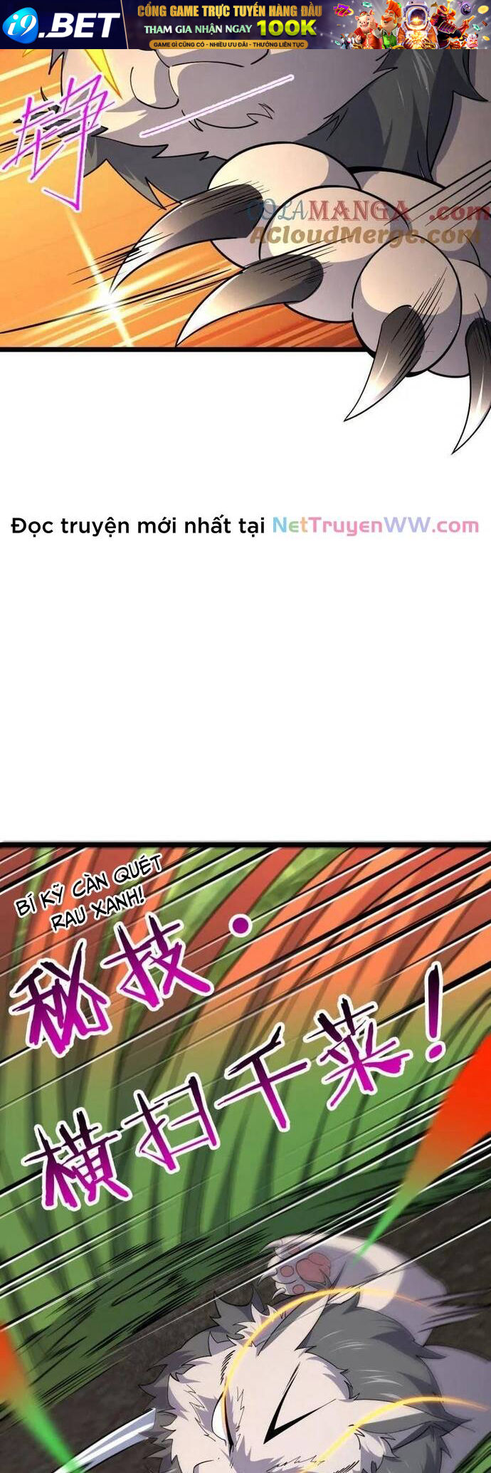 Đại Vương Tha Mạng Chương 931 Ảnh 12