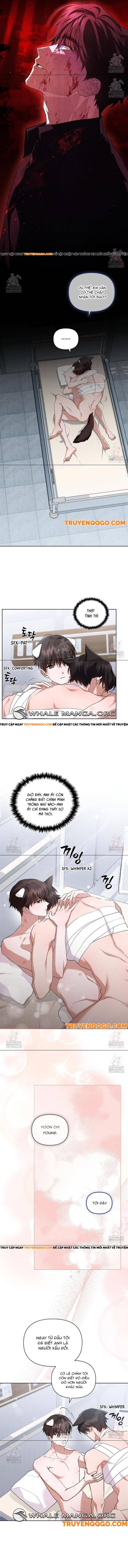 Đừng Đùa Với Cún Con Chương 43 Ảnh 9