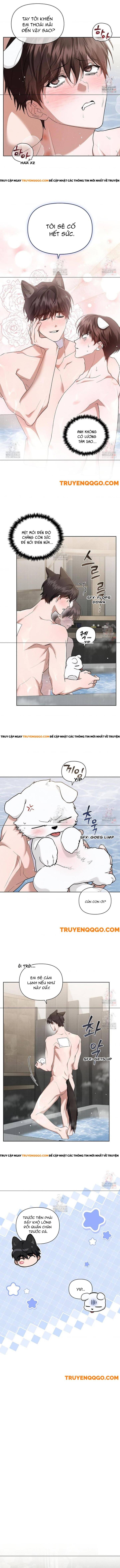 Đừng Đùa Với Cún Con Chương 44 Ảnh 9