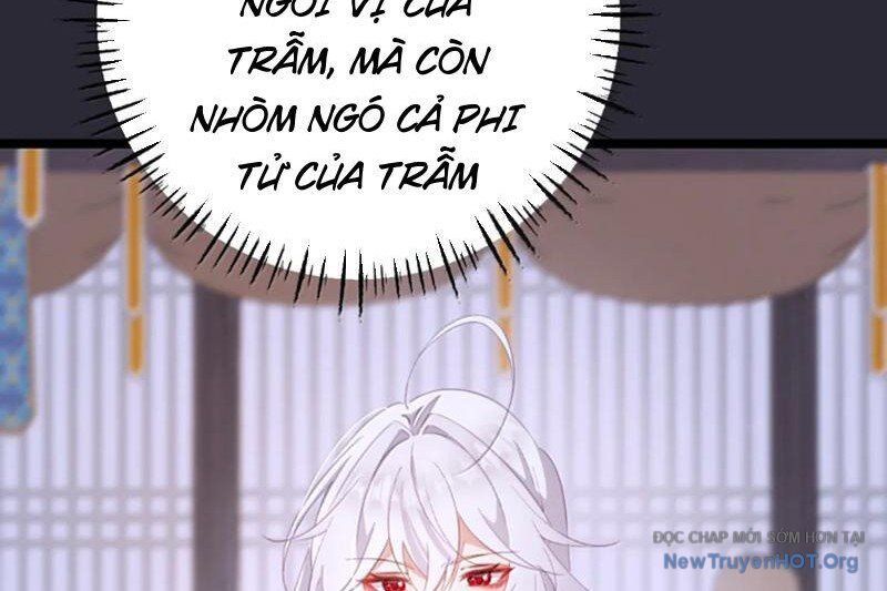 Đập Vỡ Hoàng Đế Nữ Nhi Thân Chương 48 Ảnh 116