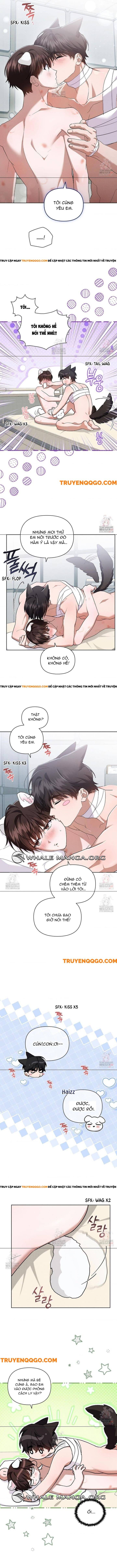 Đừng Đùa Với Cún Con Chương 43 Ảnh 12