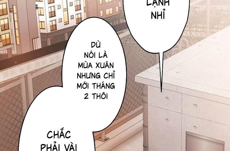 Giáo Viên Ác Quỷ Saiko Chương 119 Ảnh 67