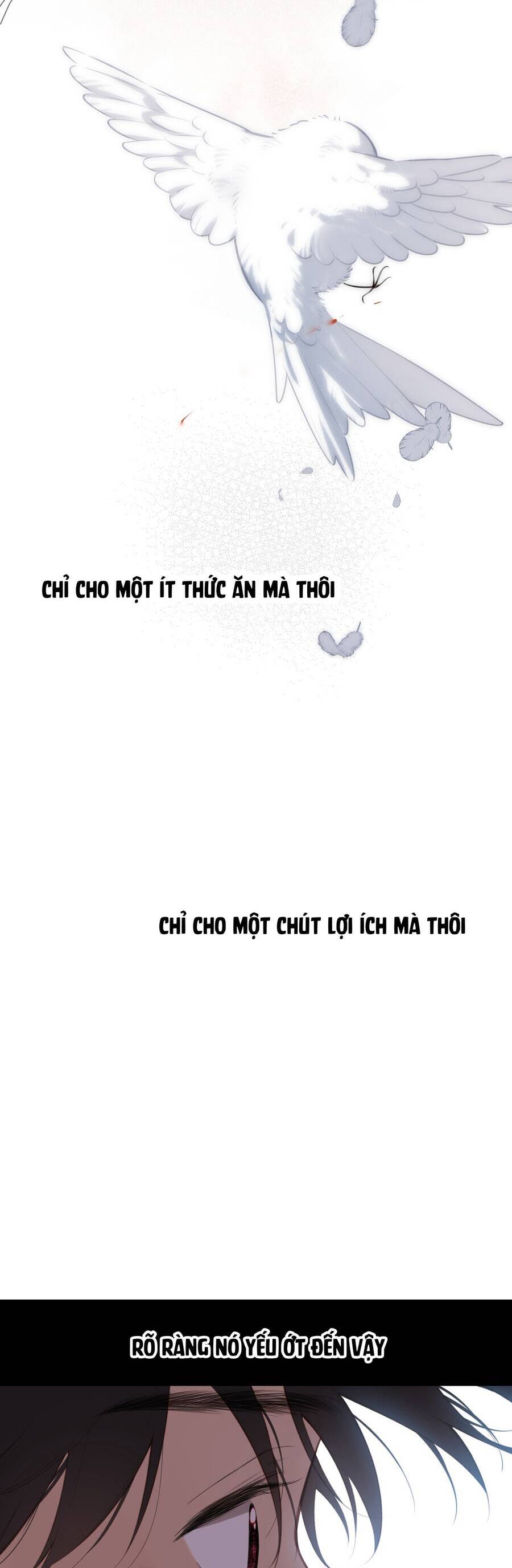 Ngược Dòng Mùa Xuân Chương 32 Ảnh 38