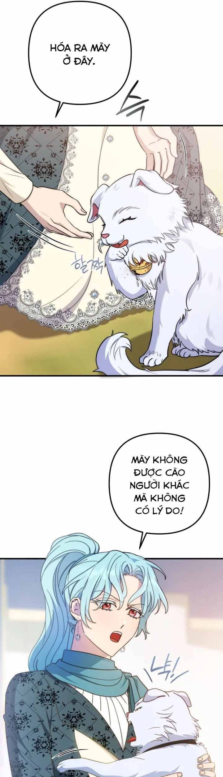 Your Majesty, Please Stop Now Chương 28 Ảnh 31