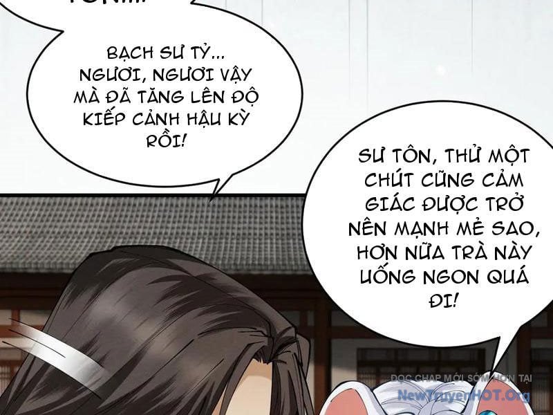 Gặp Mạnh Thì Càng Mạnh, Tu Vi Của Ta Không Giới Hạn Chương 55 Ảnh 42
