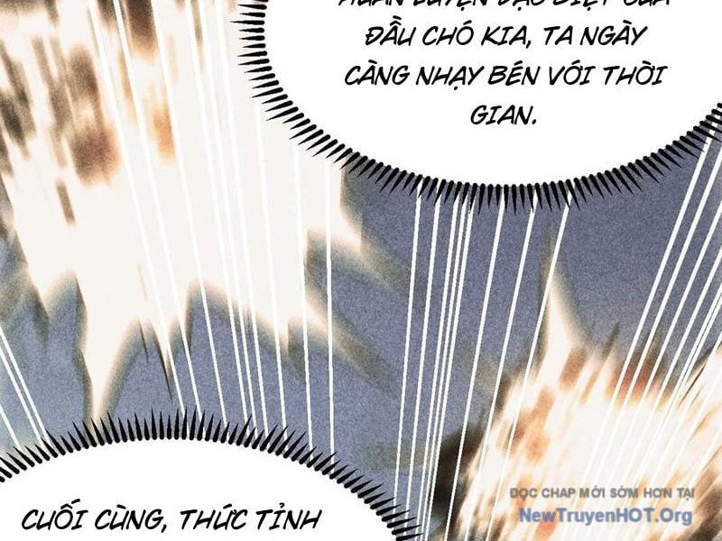Ta Chính Nghĩa Nhưng Bị Hệ Thống Ép Thành Trùm Phản Diện Chương 148 Ảnh 40