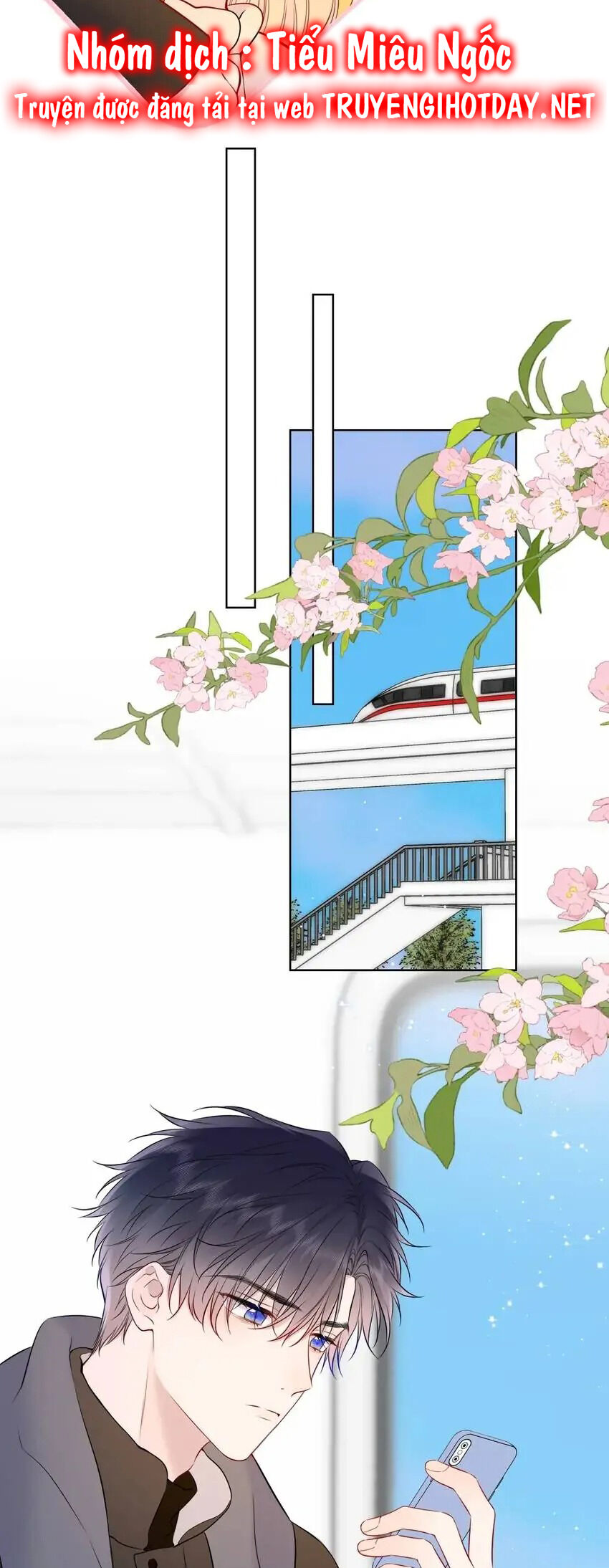Ngôi Sao Cho Tôi Chương 151 Ảnh 15
