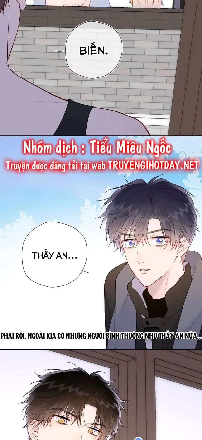 Ngôi Sao Cho Tôi Chương 151 Ảnh 10