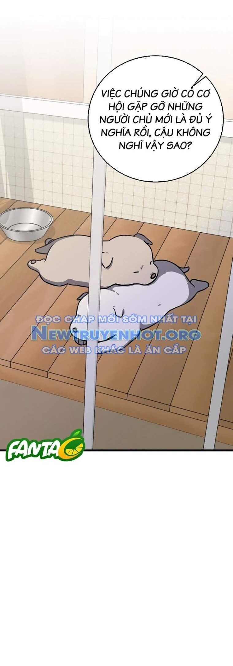 Đây Là Luật Chương 139 Ảnh 51