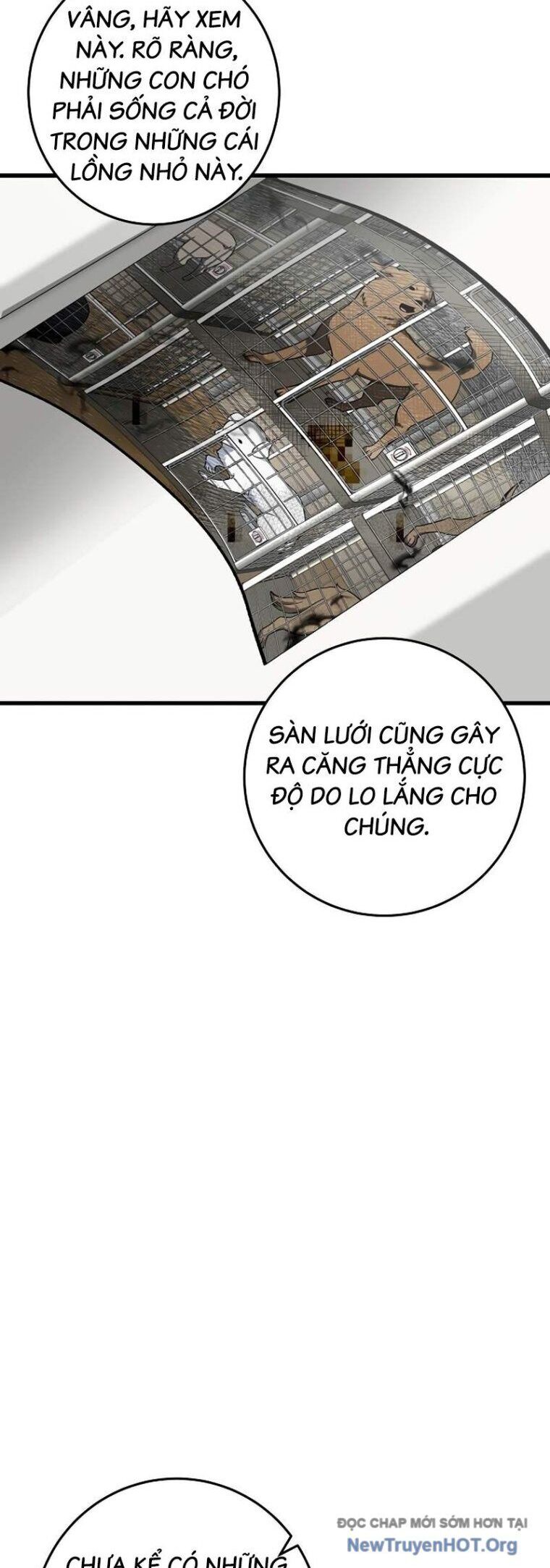 Đây Là Luật Chương 138 Ảnh 46