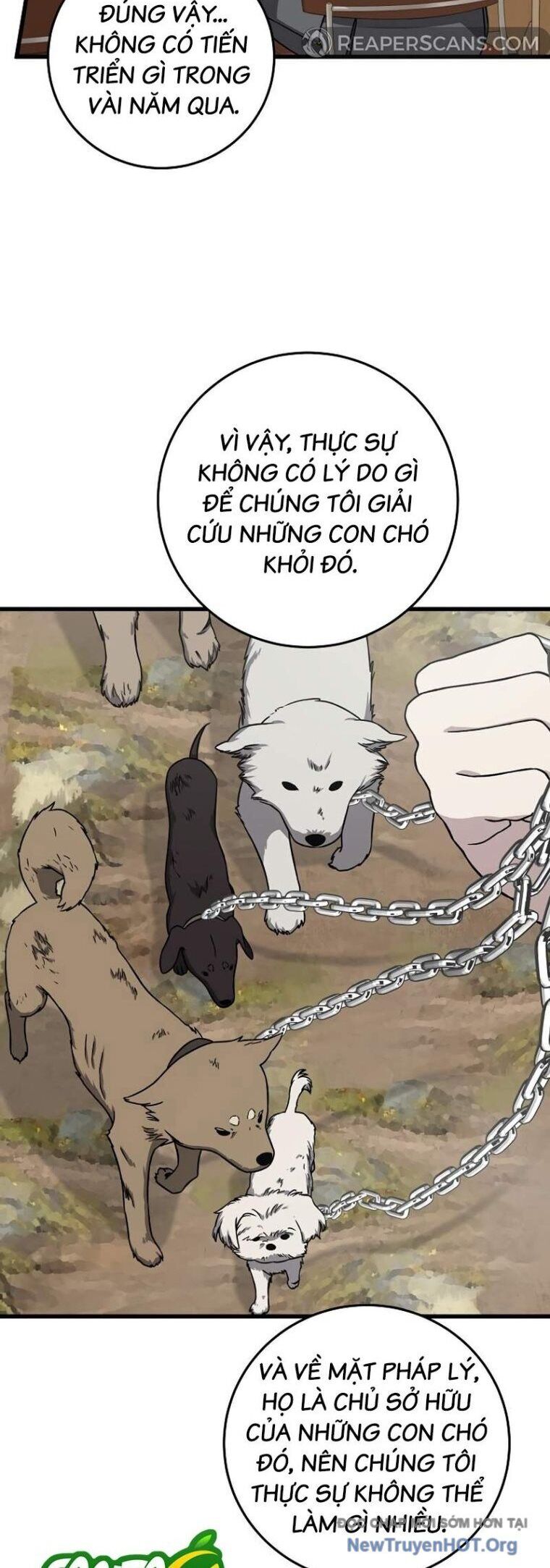 Đây Là Luật Chương 138 Ảnh 49