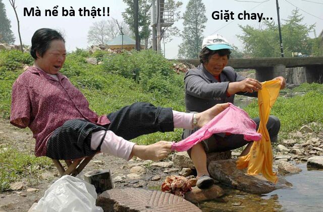 Hổ Đến Chơi Nhà (Puchimasu Miếu) Chương 145 Ảnh 49