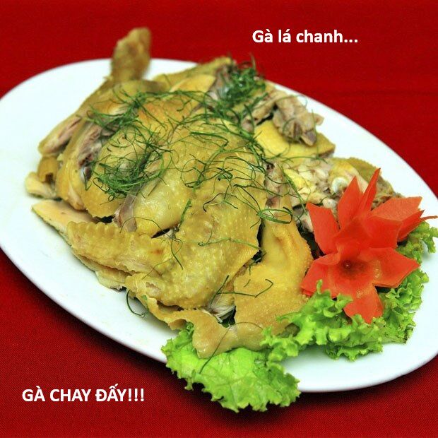 Hổ Đến Chơi Nhà (Puchimasu Miếu) Chương 145 Ảnh 32