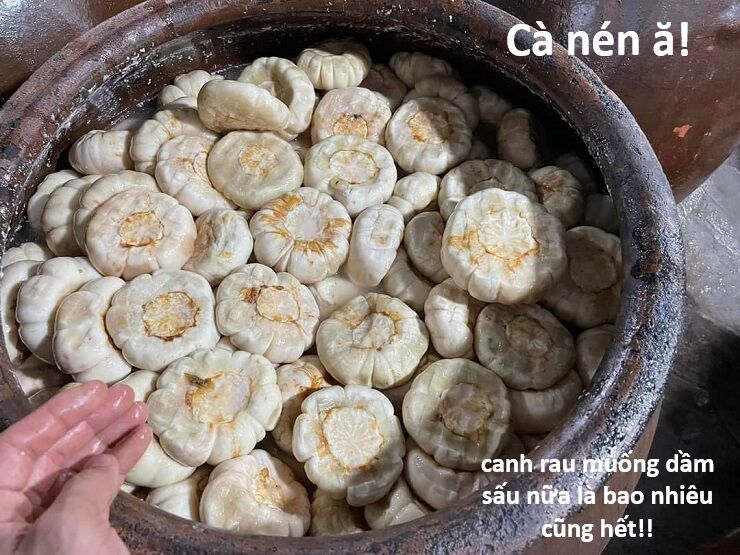 Hổ Đến Chơi Nhà (Puchimasu Miếu) Chương 145 Ảnh 42