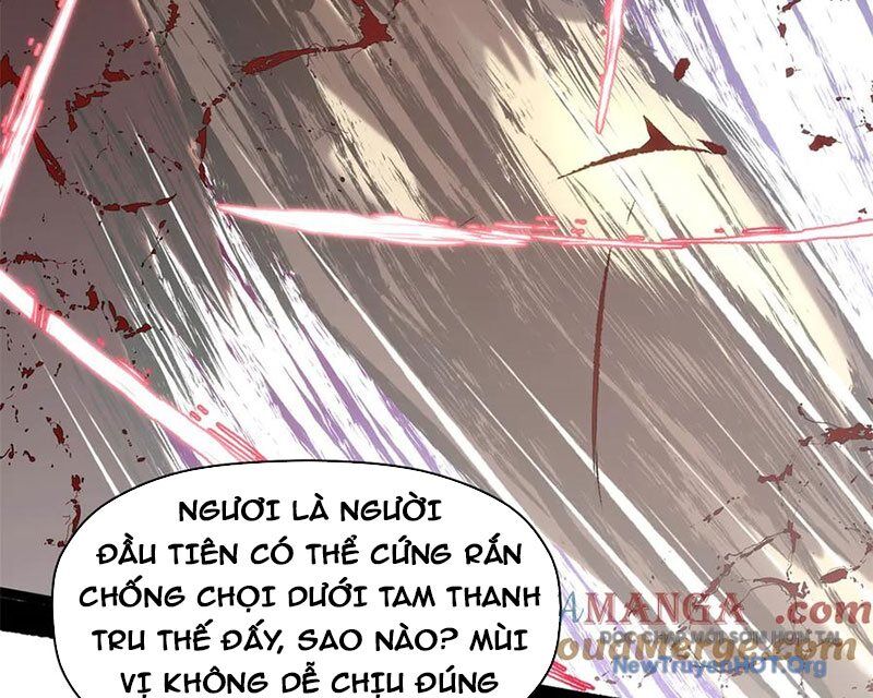 Đỉnh Cấp Khí Vận, Lặng Lẽ Tu Luyện Ngàn Năm Chương 264 Ảnh 82