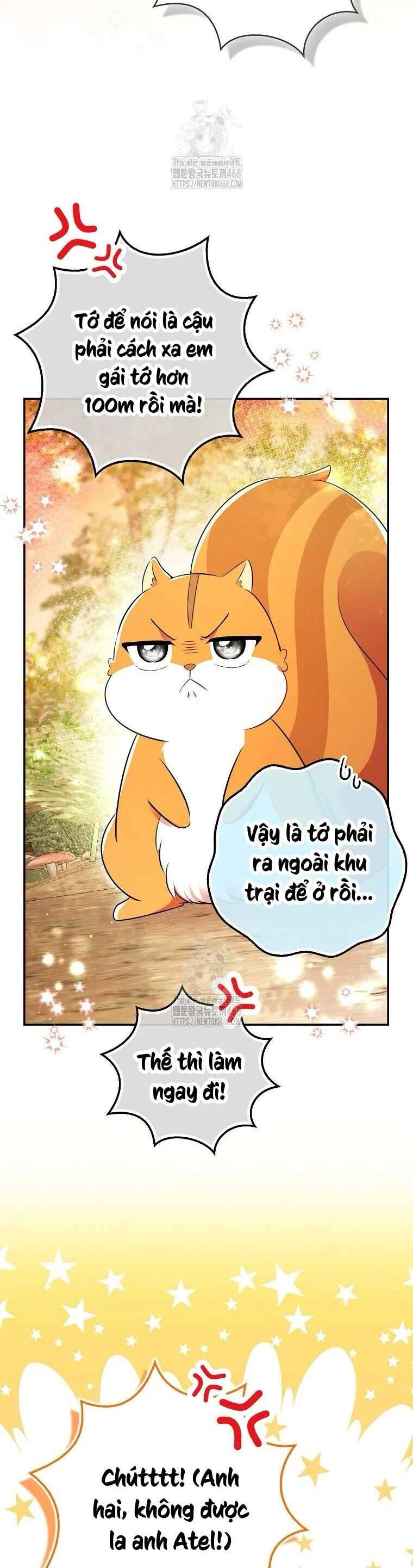 Sóc Nhỏ Tài Năng Chương 113 Ảnh 17