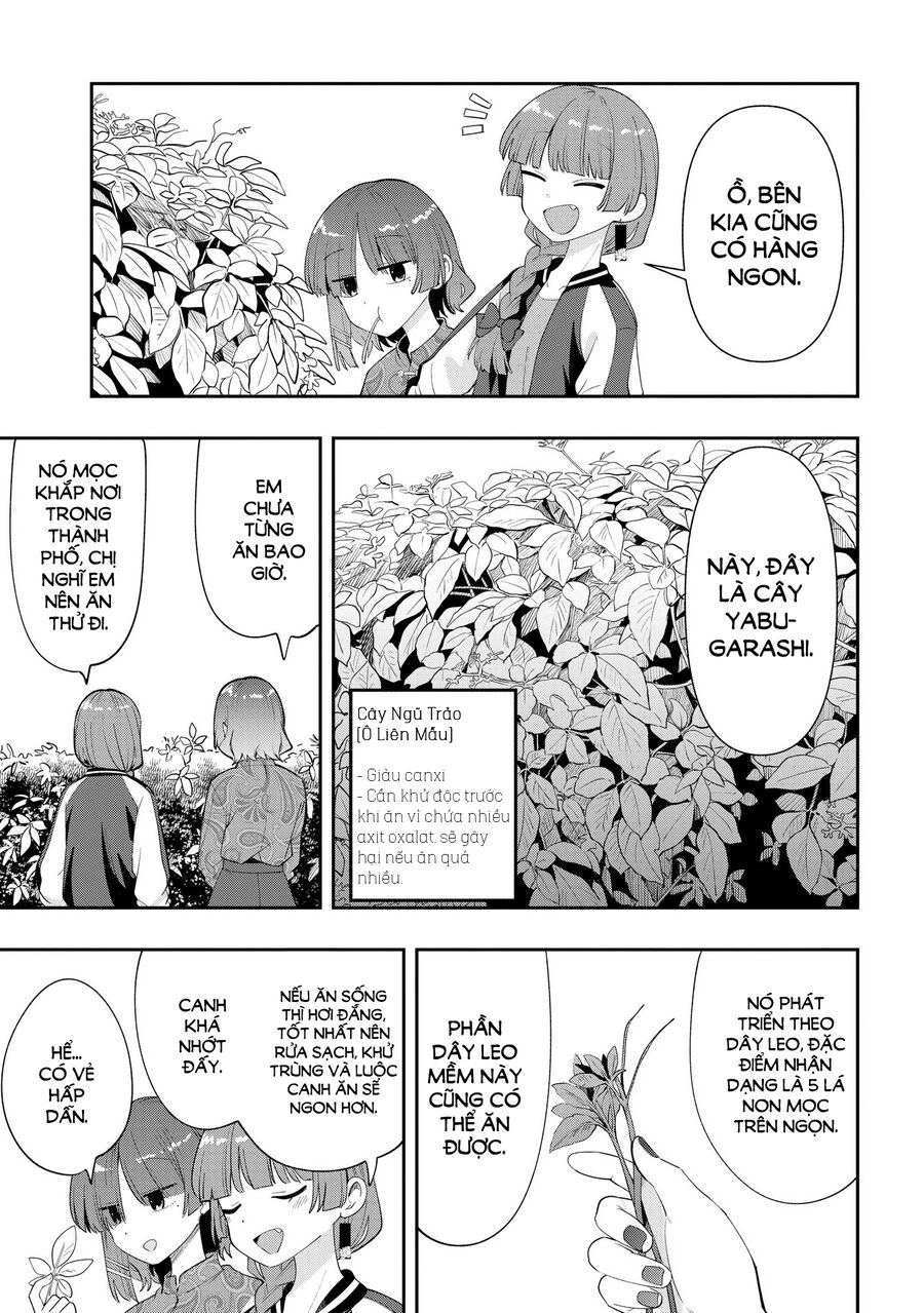 Bocchi The Rock! Ngoại Truyện: Nhật Ký Say Rượu Của Hiroi Kikuri Chương 33 Ảnh 6