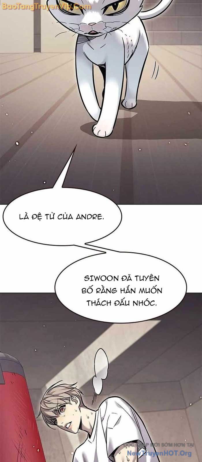 Biến Thân Thành Mèo Chương 356 Ảnh 79