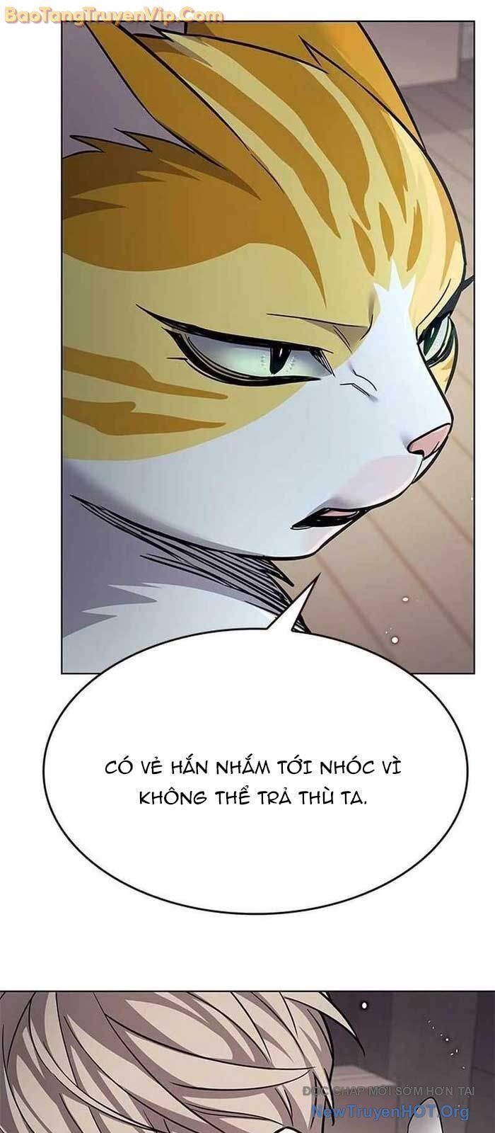 Biến Thân Thành Mèo Chương 356 Ảnh 81