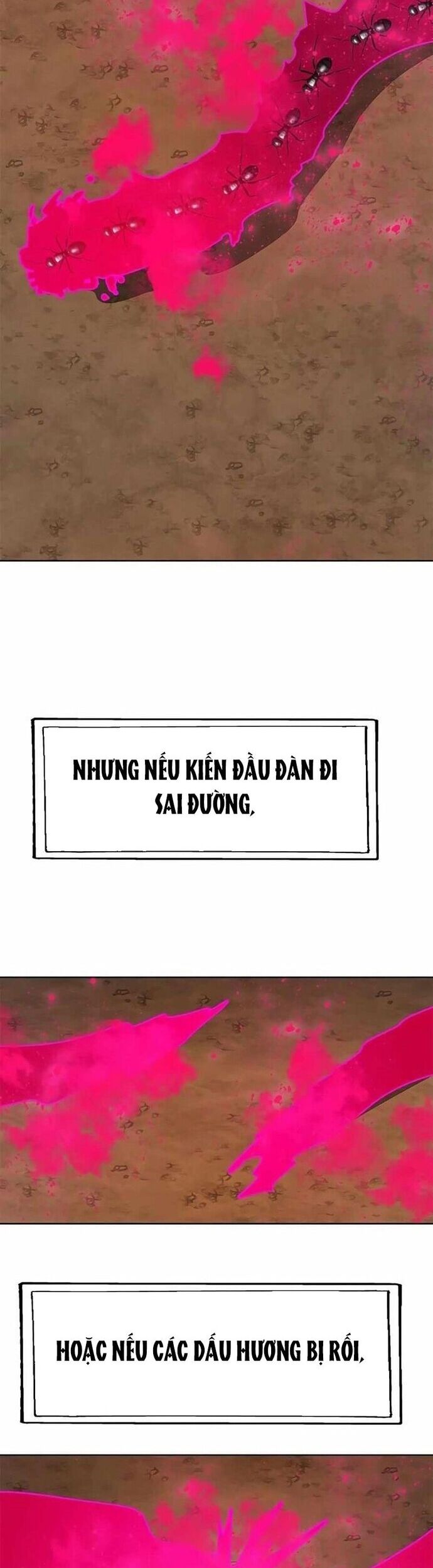 Tôi Chỉ Là Người Khuân Vác Trong Hầm Ngục Chương 22 Ảnh 23
