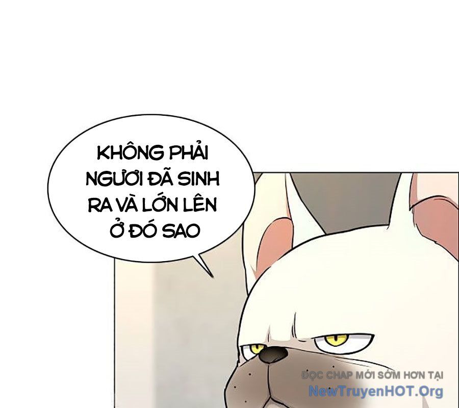Kiếm Vương Chương 55 Ảnh 21
