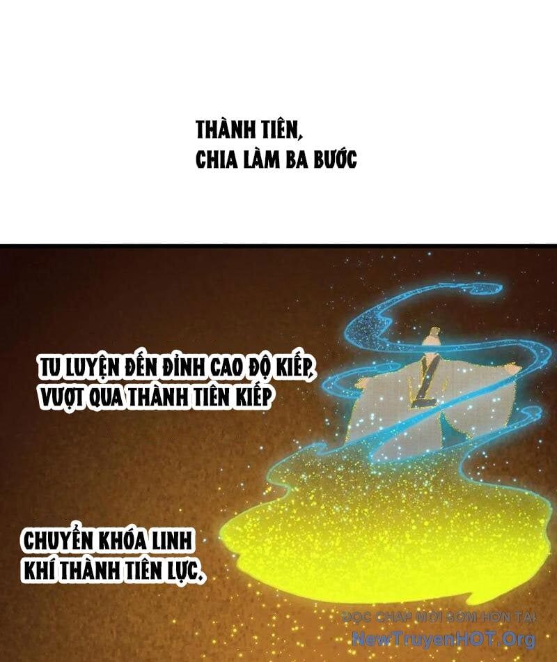 Đại Thừa Kỳ Mới Có Nghịch Tập Hệ Thống Chương 69 Ảnh 3