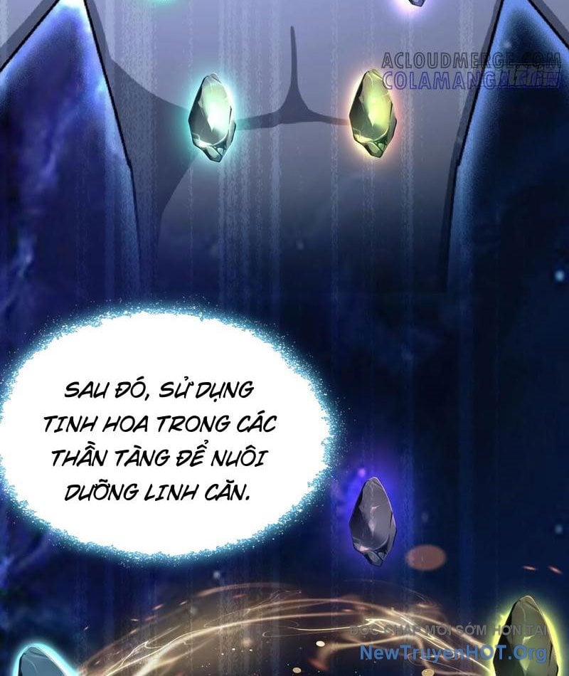 Hoá Ra Ta Đã Vô Địch Từ Lâu Chương 312 Ảnh 31