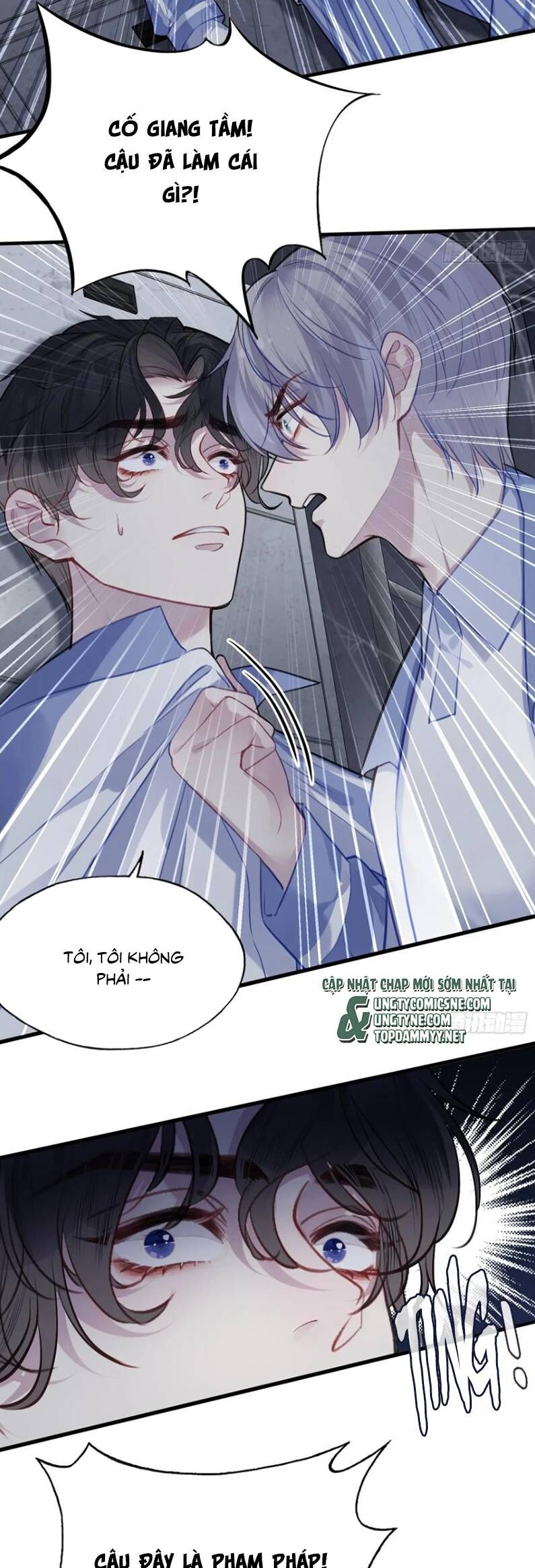 Anh Ấy Chưa Từng Rơi Xuống Chương 128 Ảnh 11