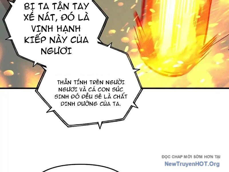 Bắt Đầu Chuyển Chức Tài Thần, Ta Chuyển Hóa Triệu Vạn Thần Sủng Chương 30 Ảnh 5