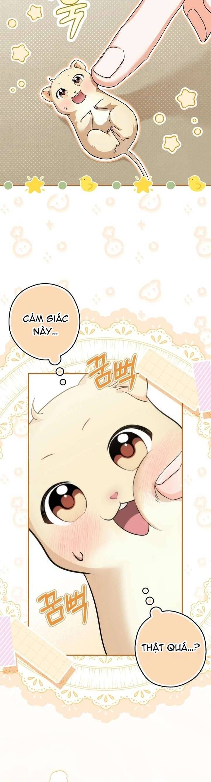 Chuột Đồng Này Sẽ Đưa Lọ Lem Đi Chương 1 Ảnh 39