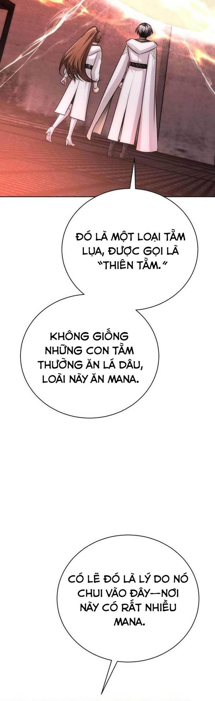 Đứa Trẻ Dị Biệt Của Tháp Phép Thuật Chương 19 Ảnh 36