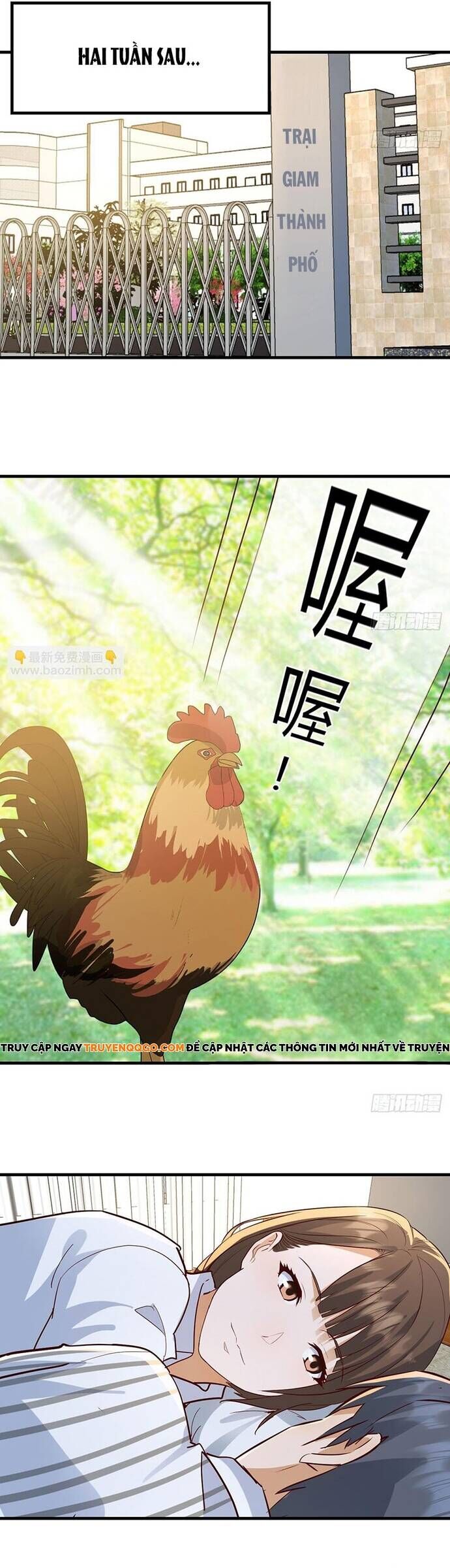 Trong Nhà Có 2 Bạn Gái Song Sinh Chương 342 Ảnh 12