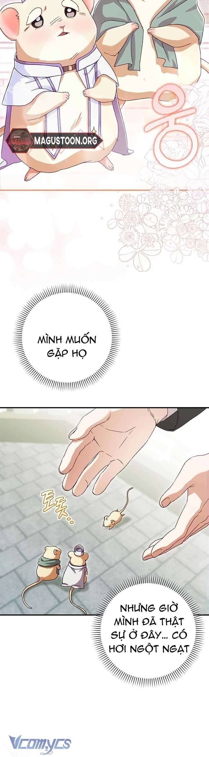 Chuột Đồng Này Sẽ Đưa Lọ Lem Đi Chương 6 Ảnh 16