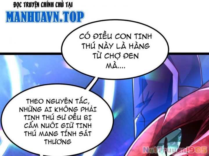 Tối Cường Tinh Thú Sư Chương 2 Ảnh 15