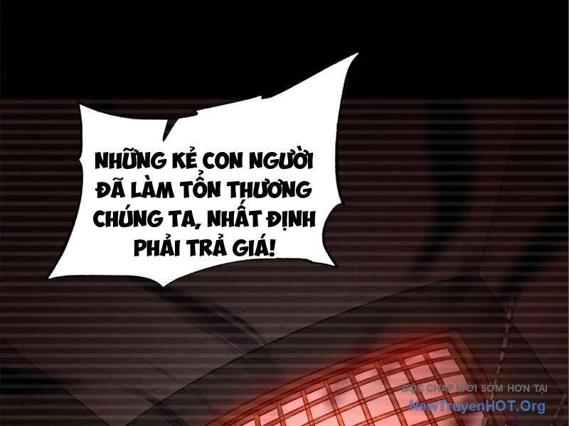 Tối Cường Tinh Thú Sư Chương 9 Ảnh 36