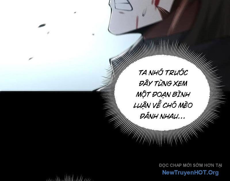 Ta Thăng Cấp Cùng Tai Ách Chương 44 Ảnh 75