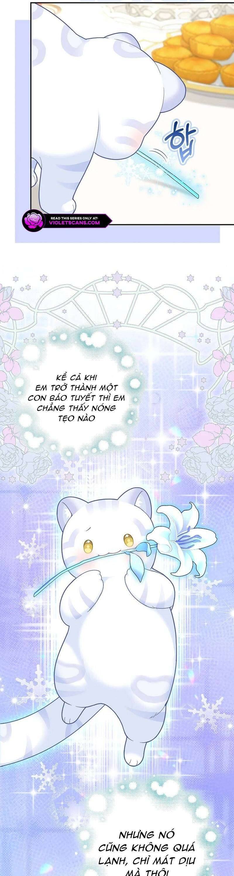 Bé Con Báo Tuyết Của Gia Tộc Báo Đen Chương 27 Ảnh 26